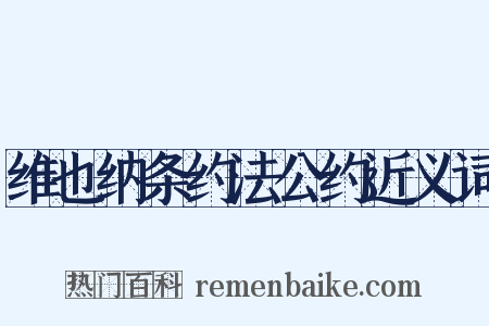 维也纳条约法公约近义词是什么意思的图片